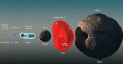 Allergy Filter Screens -Screen Window Sales Store Allergy Guard Particle Size Comparison 00012.1672778910