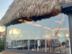 Genius Motorized Vinyl Screens 6 Genius Motorized Vinyl Screens -Screen Window Sales Store Vinyl Unit Image 225 42141.1693248030